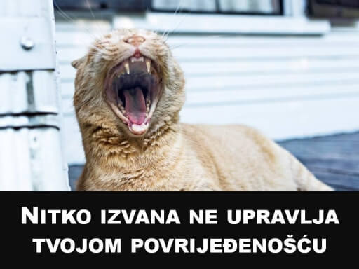 Kad je muškarac povrijeđen - tigar